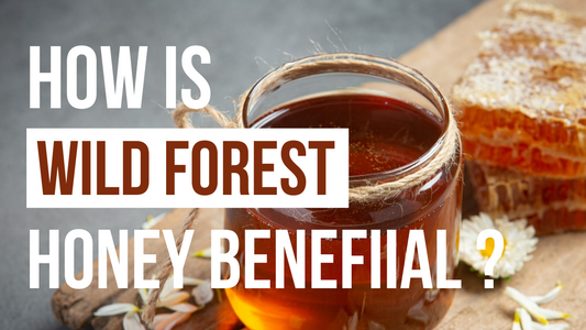 HOW IS WILD FOREST HONEY BENEFICIAL FOR HEALTH?